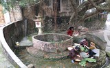 Xem làng cổ Yên Trường gói bánh chưng đón Tết